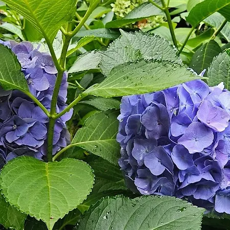 Le Chateau Du Landsberg Hotel 2*