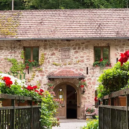 Hotel Le Chateau Du Landsberg Barr