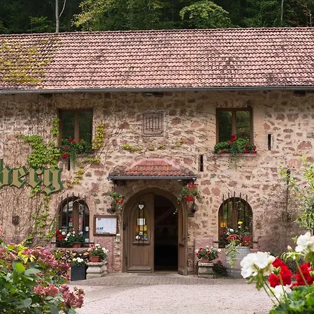 Le Chateau Du Landsberg