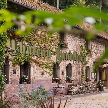 Hotel Le Chateau Du Landsberg Barr