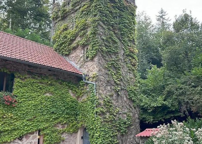 Hotel Le Chateau Du Landsberg Barr