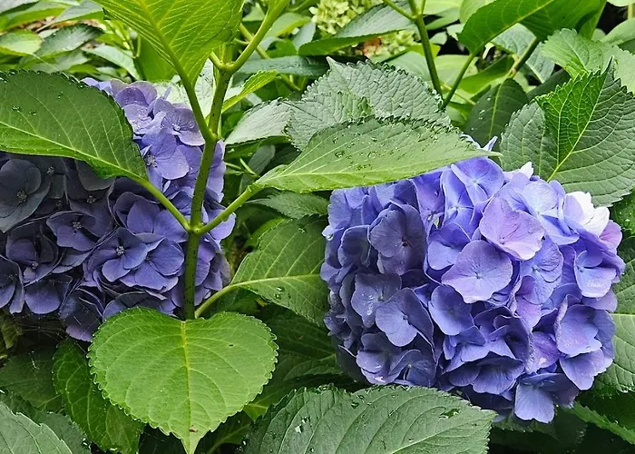 Le Chateau Du Landsberg Hotel 2*