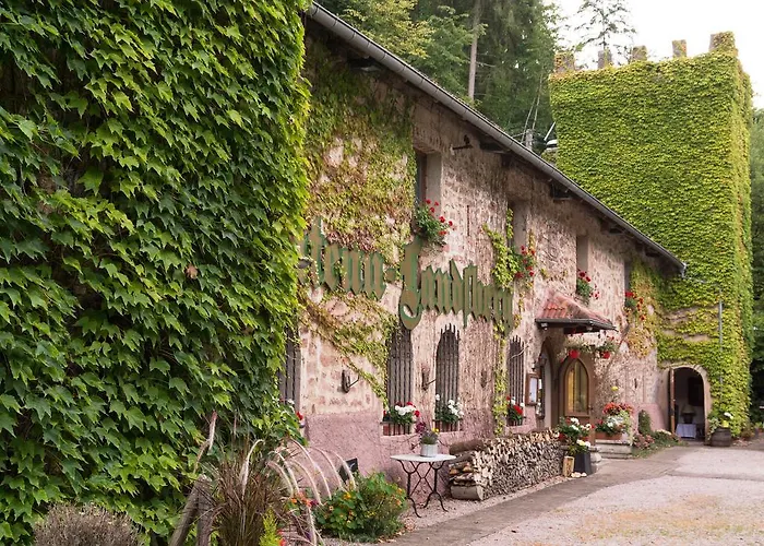 Le Chateau Du Landsberg