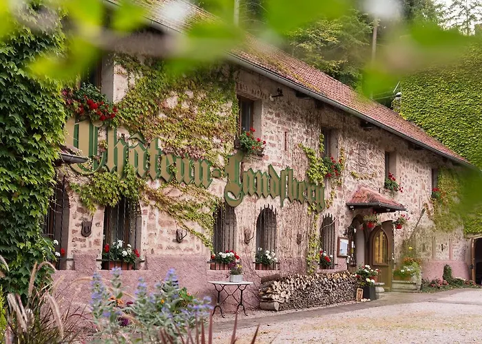 Le Chateau Du Landsberg